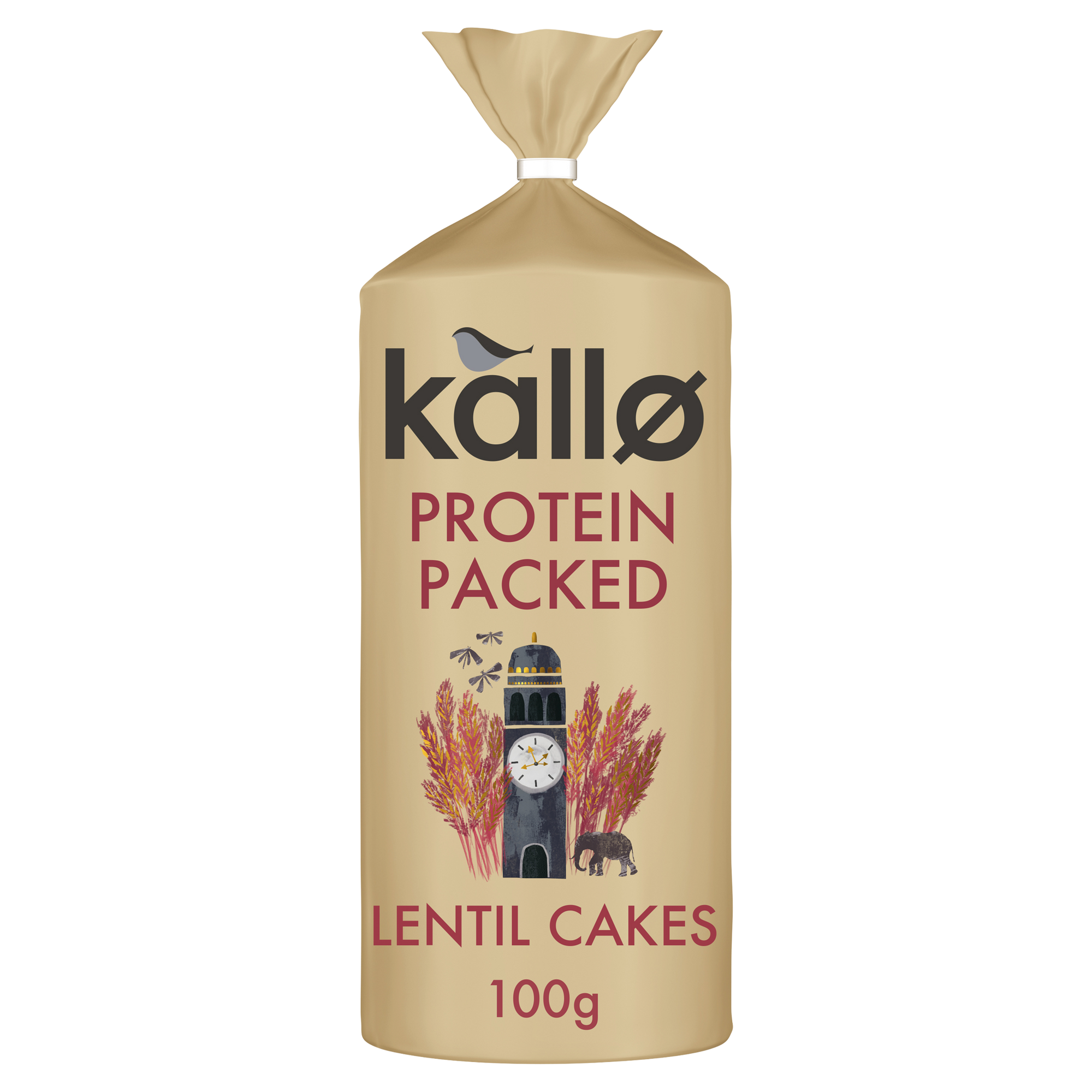 Protein Packed Lentil Cakes